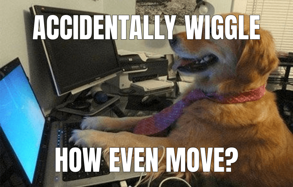 I Have No Idea What I'm Doing meme about "Help I accidentally a wigglegram"