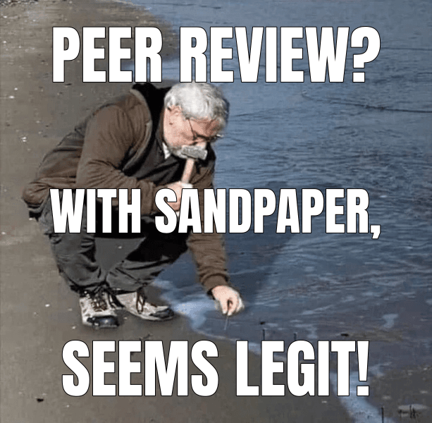 Peer review? (Guy Hammering Nails Into Sand meme)