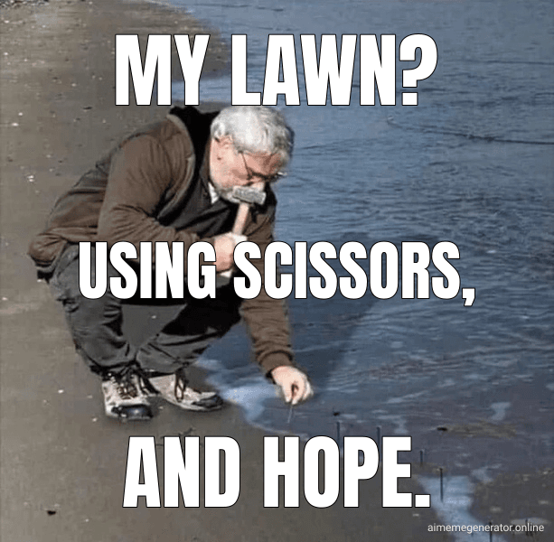 My lawn? (Guy Hammering Nails Into Sand meme)