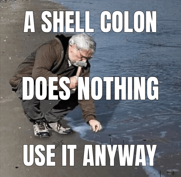 A shell colon (Guy Hammering Nails Into Sand meme)