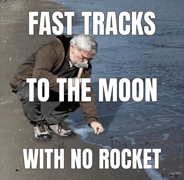 Meme made from "SpaceX, Other Mega IPOs Denied Fast Index Entry by S&P"