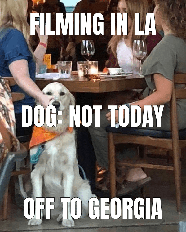 Woman Holding Dog's Mouth meme about "How Hollywood stopped making movies in Hollywood"