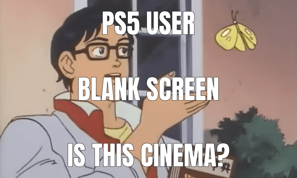 PS5 user — Is This a Pigeon? meme