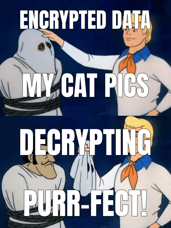 Encrypted Data (Scooby Doo Reveal meme)