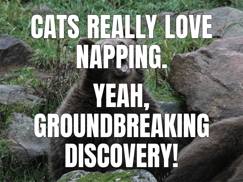 Cats really love napping.