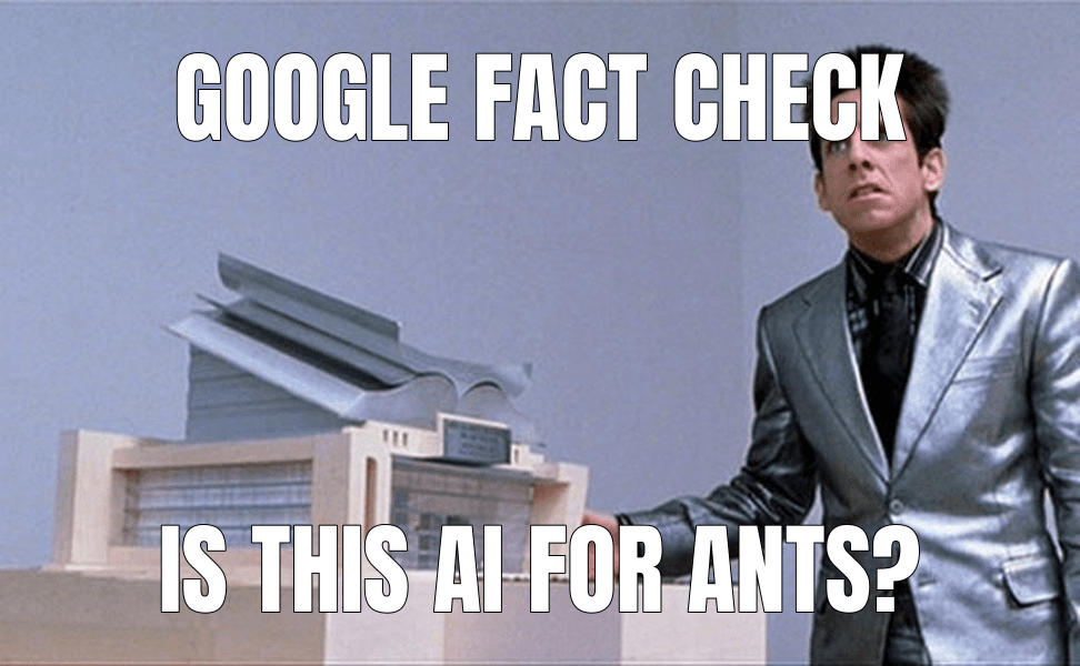 Google fact check