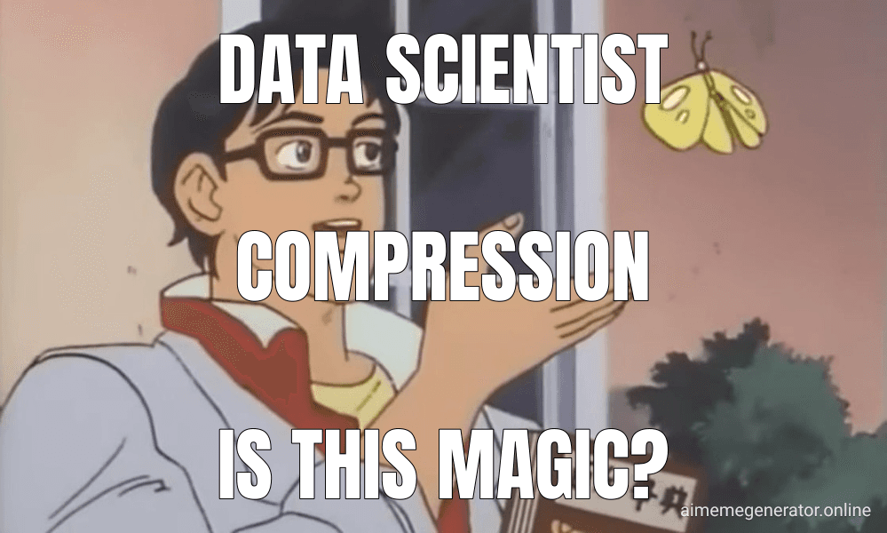 Data Scientist