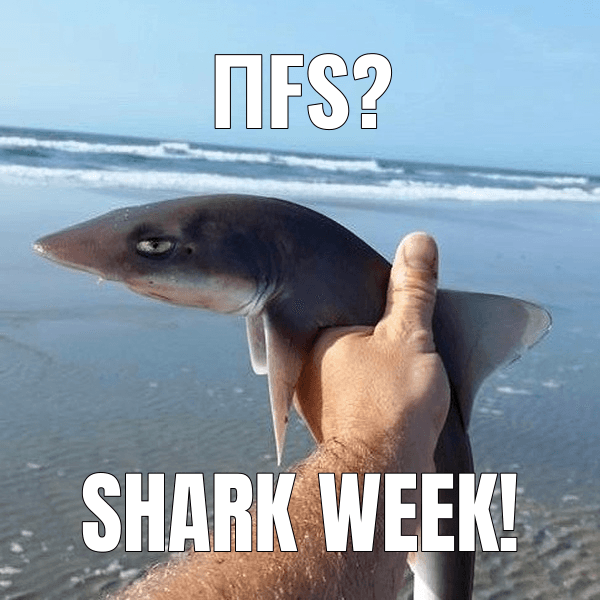 πFS?