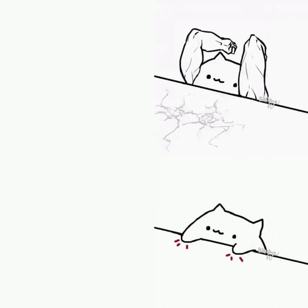 Bongo Cat
