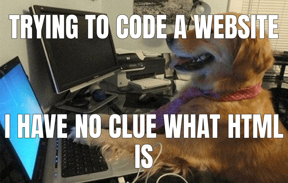 I Have No Idea What I'm Doing example