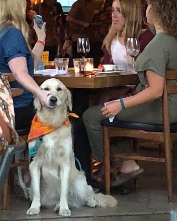 Woman Holding Dog's Mouth