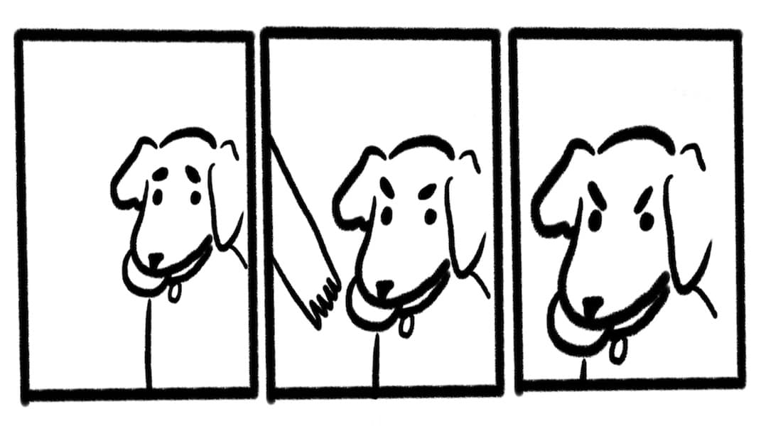 No Take, Only Throw