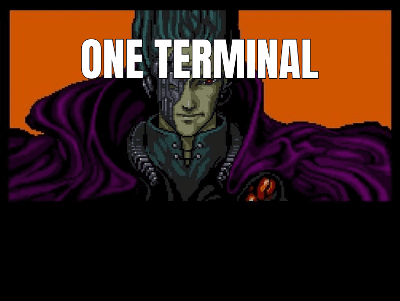 One Terminal