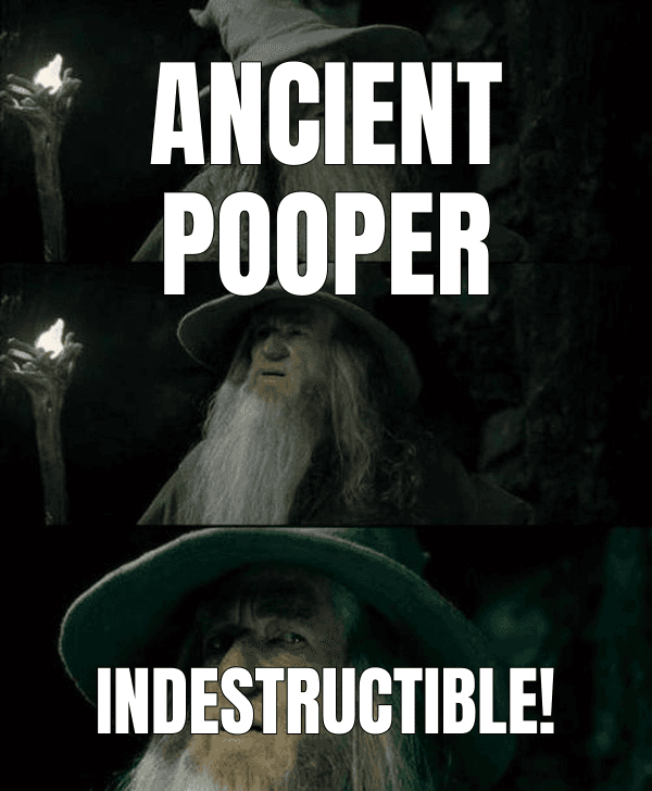 Ancient pooper